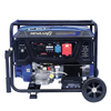NEWLAND Dual Voltage Gasoline Generator with AVR