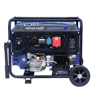 NEWLAND Dual Voltage Gasoline Generator with AVR