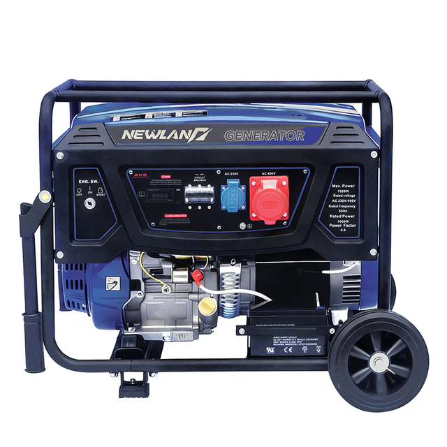 NEWLAND Dual Voltage Gasoline Generator with AVR