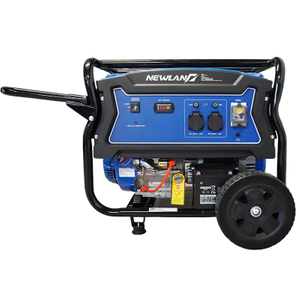 NEWLAND Gasoline Generator 2kW 3kW New Model Wholesale China Company